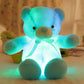 🎄❤️Weihnachtsangebot: 50% Rabatt 🧸Teddybär, buntes LED-Licht, Stofftiere