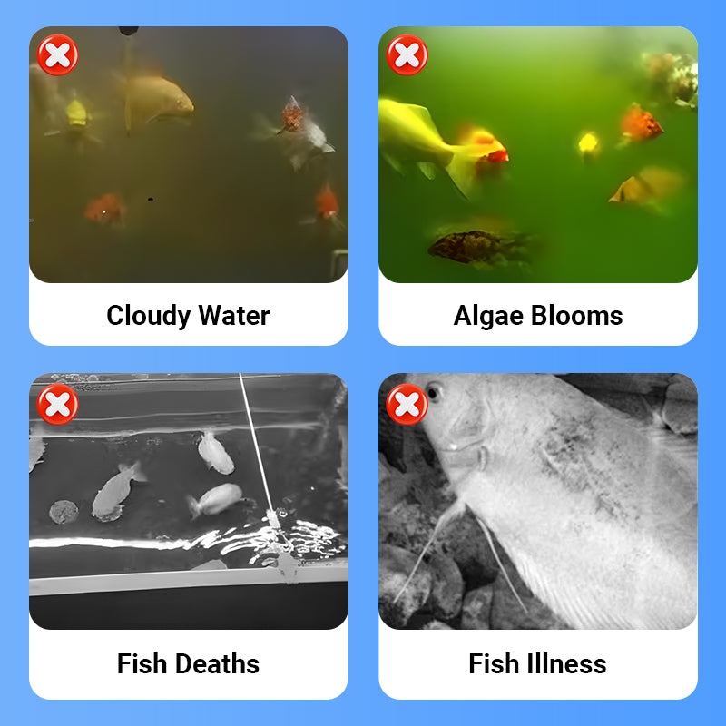 🔥Heißer Verkauf KAUFEN SIE 2 UND ERHALTEN SIE 1 GRATIS 🔥Leistungsstarker Wasserklärer für Aquarien