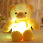 🎄❤️Weihnachtsangebot: 50% Rabatt 🧸Teddybär, buntes LED-Licht, Stofftiere