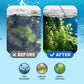 🔥Heißer Verkauf KAUFEN SIE 2 UND ERHALTEN SIE 1 GRATIS 🔥Leistungsstarker Wasserklärer für Aquarien