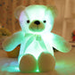 🎄❤️Weihnachtsangebot: 50% Rabatt 🧸Teddybär, buntes LED-Licht, Stofftiere
