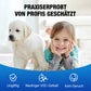✨Wasserdichtes Dichtspray zur Abdichtung，Frühlingsangebot: 49 % Rabatt auf Ihre Bestellung