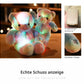 🎄❤️Weihnachtsangebot: 50% Rabatt 🧸Teddybär, buntes LED-Licht, Stofftiere