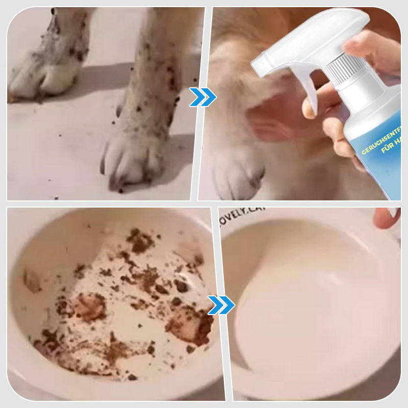 Geruchsentferner-Spray für Haustiere🐕🌟