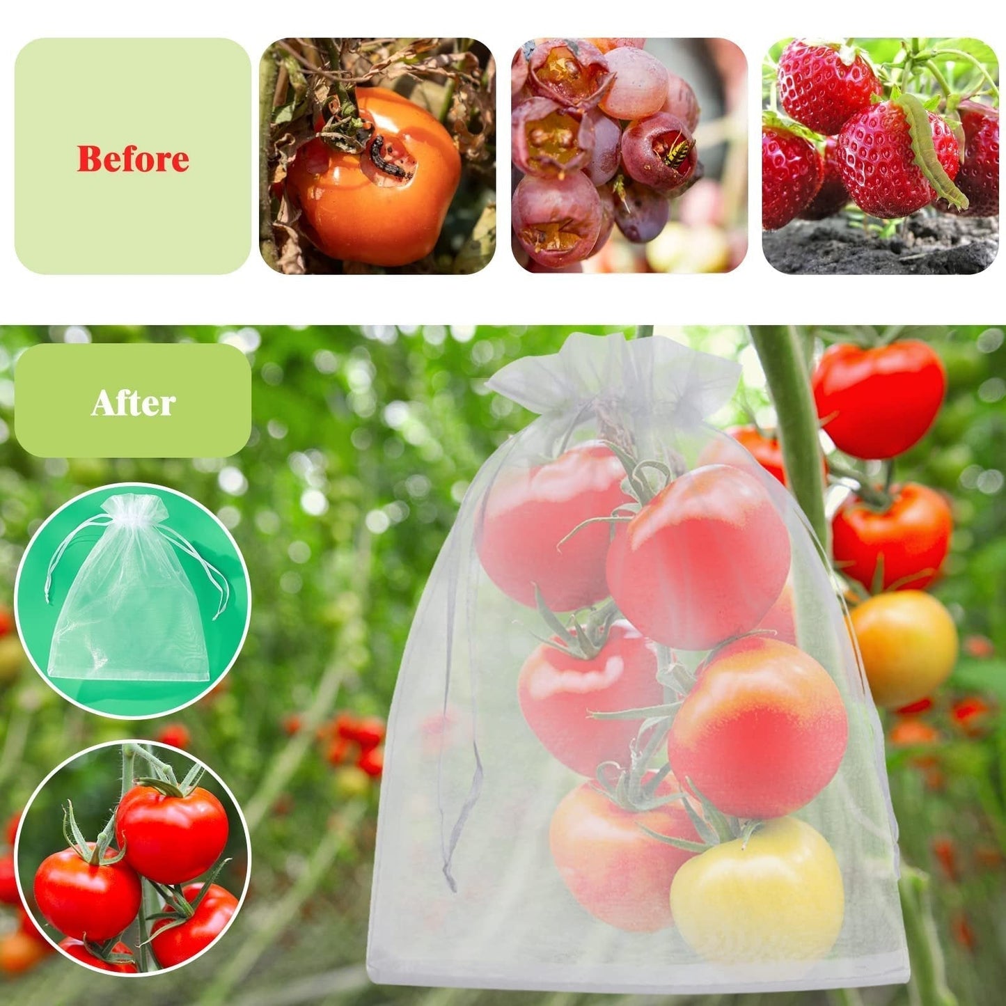 🔥🔥Mehr kaufen – mehr sparen!🥝🍊🍇Fruchtschutzbeutel – Effektiver Schutz für Ihre Früchte!
