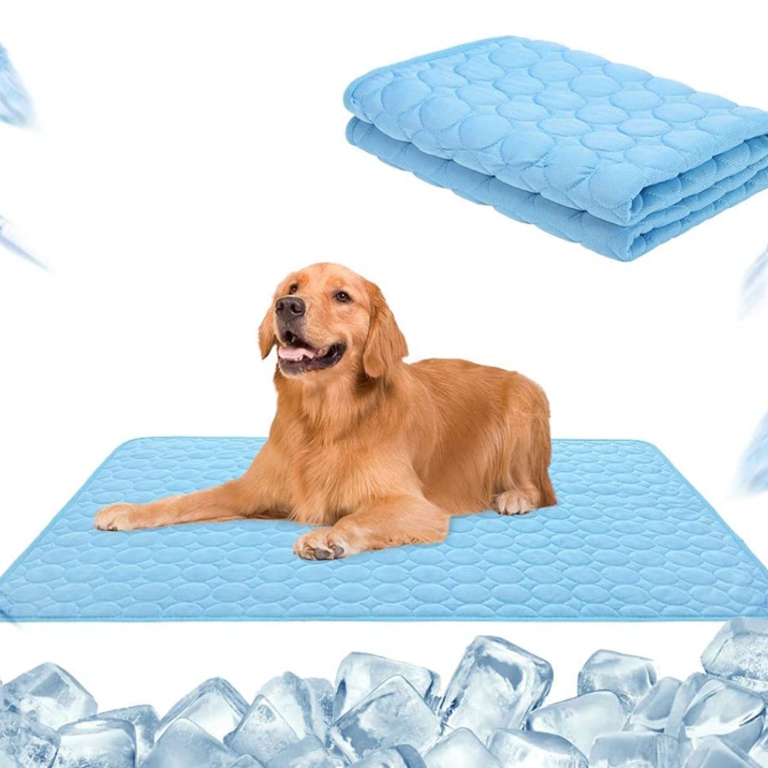 Premium Kühlmatte für Hunde🐶🐱