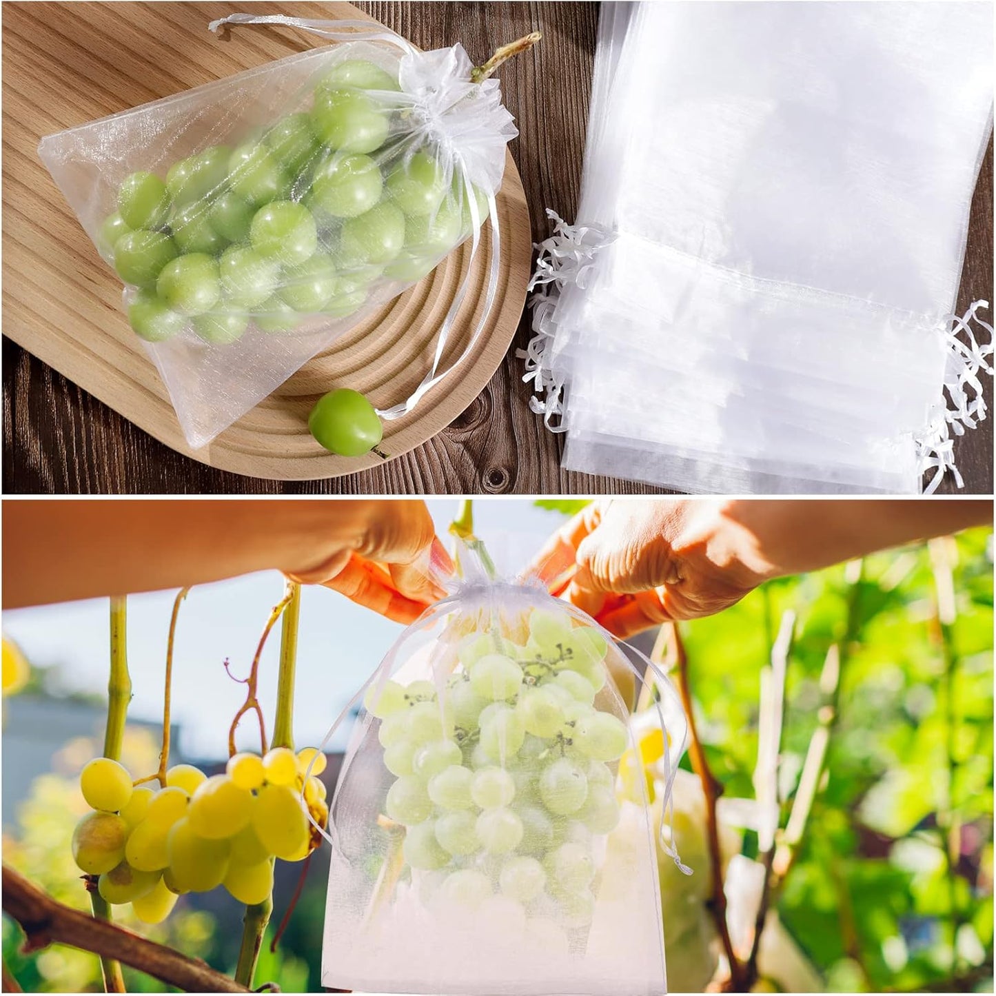 🔥🔥Mehr kaufen – mehr sparen!🥝🍊🍇Fruchtschutzbeutel – Effektiver Schutz für Ihre Früchte!