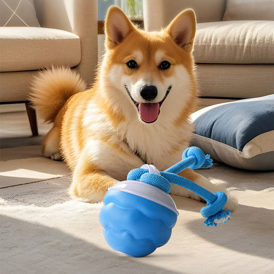 🎁Begrüßen Sie Weihnachten mit 50 % Rabatt💥Interaktiver elektronischer beruhigender Spielball für Haustiere