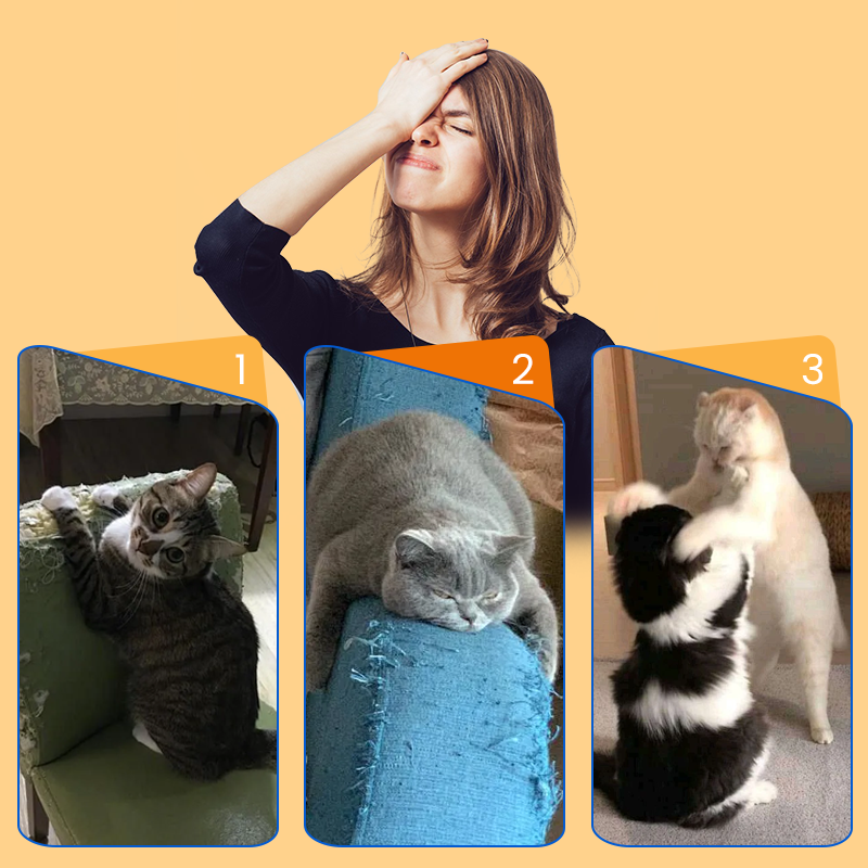 😻🐾Intelligentes zwitscherndes rollendes interaktives Katzenspielzeug Ball