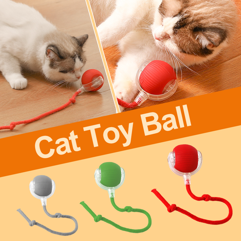 😻🐾Intelligentes zwitscherndes rollendes interaktives Katzenspielzeug Ball