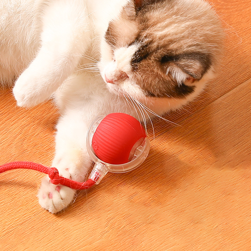 😻🐾Intelligentes zwitscherndes rollendes interaktives Katzenspielzeug Ball