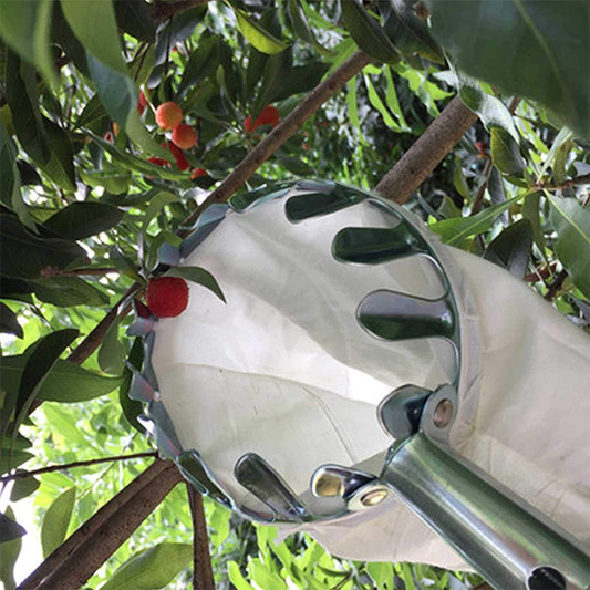 Obstpflücker Hauptkorb