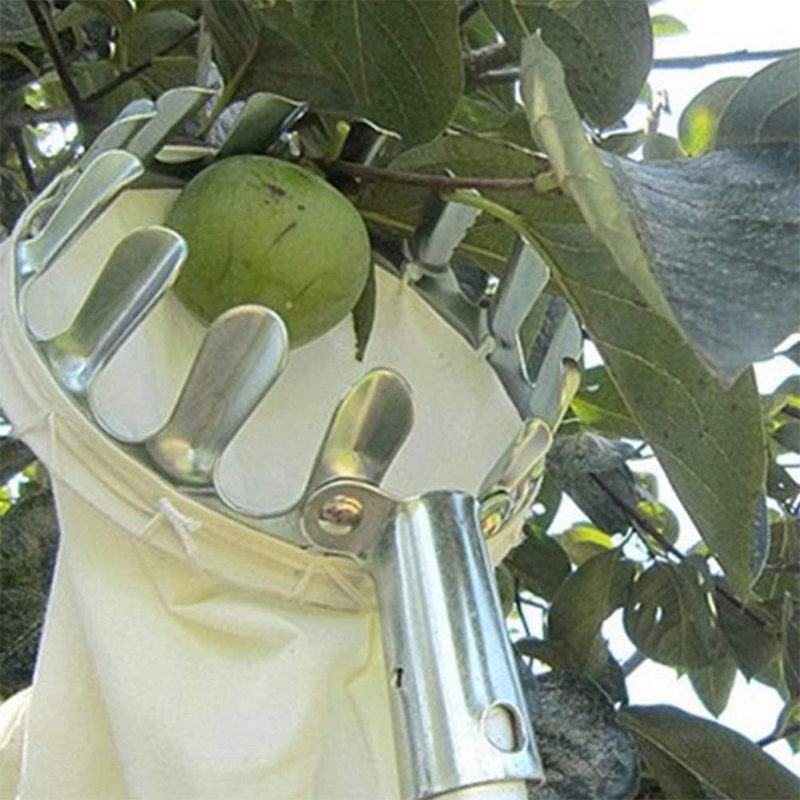 Obstpflücker Hauptkorb