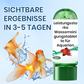 🔥Heißer Verkauf🔥Leistungsstarke Wasserreinigungstablette für Aquarien