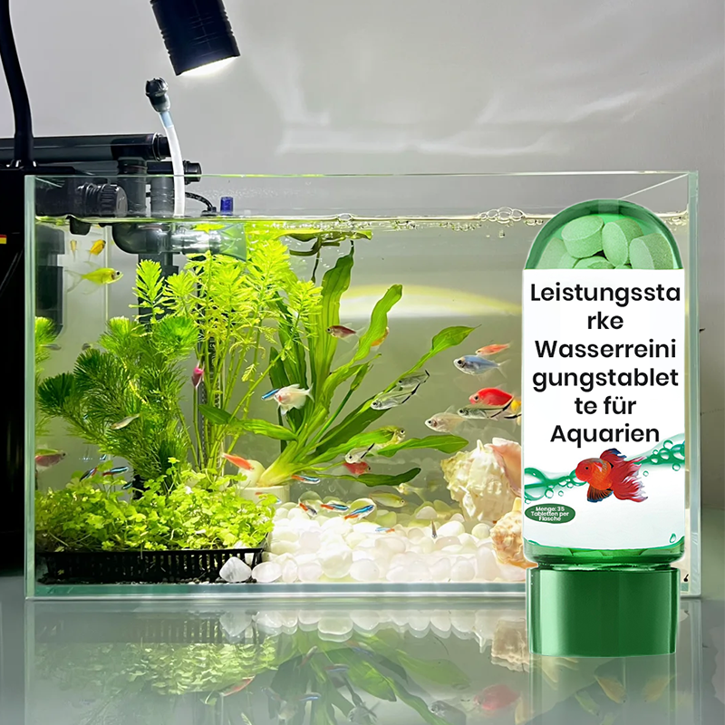 🔥Heißer Verkauf🔥Leistungsstarke Wasserreinigungstablette für Aquarien