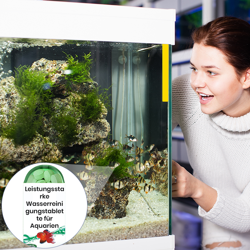 🔥Heißer Verkauf🔥Leistungsstarke Wasserreinigungstablette für Aquarien