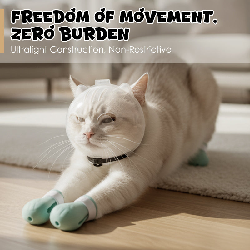 ✨ Katzenpflege-Maulschutz mit Anti-Kratz-Pfotenüberzügen – Sichere & Stressfreie Pflege! ✨