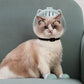 ✨ Katzenpflege-Maulschutz mit Anti-Kratz-Pfotenüberzügen – Sichere & Stressfreie Pflege! ✨