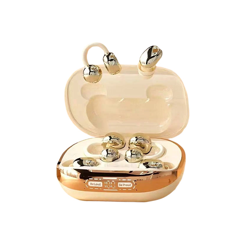 2-in-1-TWS-Ohrhörer mit Open-Ear- und In-Ear-Sets