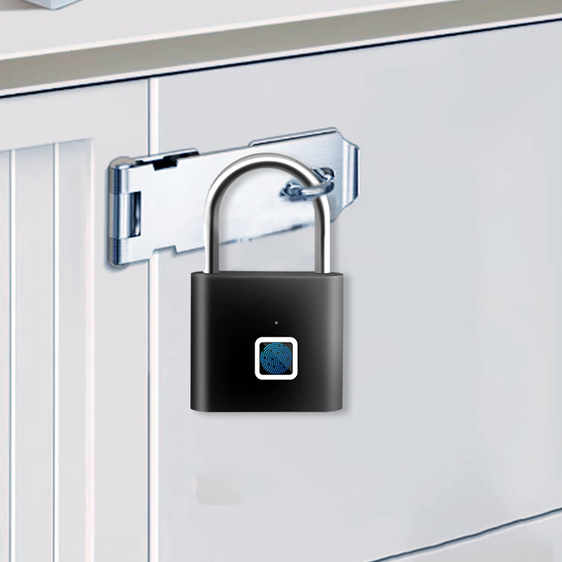 Mini-Smart-Fingerabdruck-Vorhängeschloss