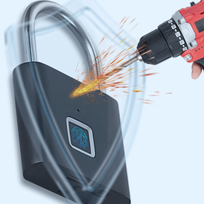 Mini-Smart-Fingerabdruck-Vorhängeschloss