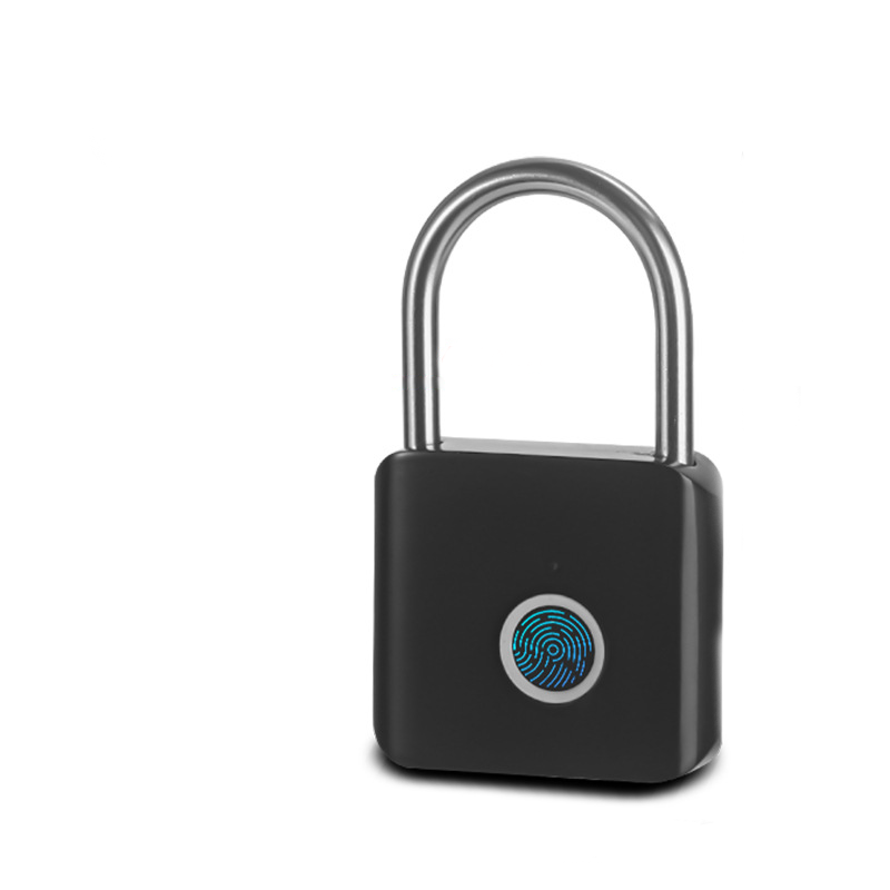 Mini-Smart-Fingerabdruck-Vorhängeschloss