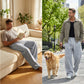👖 Herren-Freizeithose in lockerer Passform – Mit praktischem Kordelzug