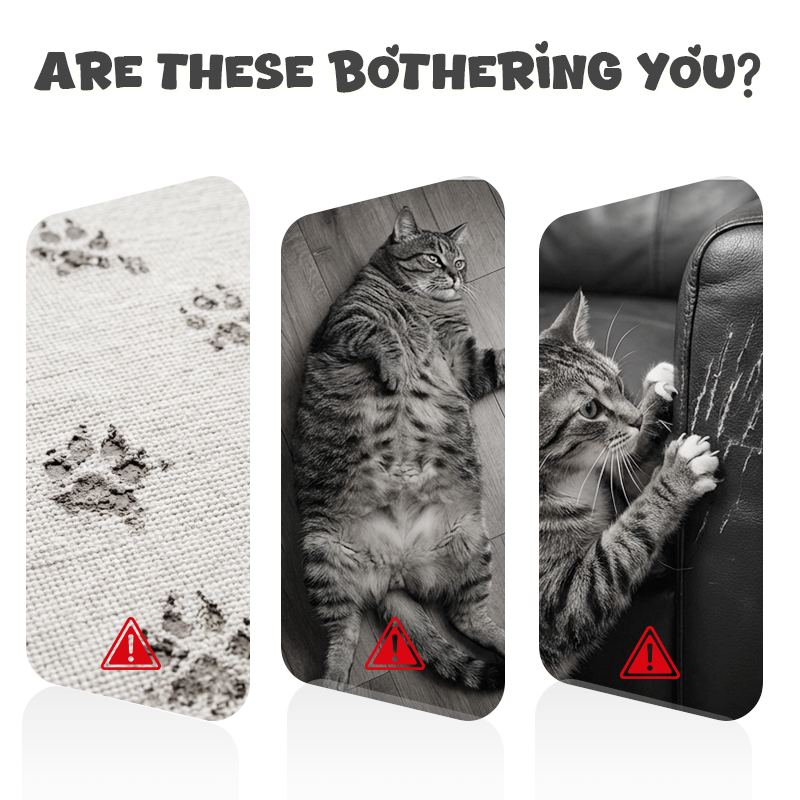 🐱🎮 Interaktives Katzenspielzeug mit Fernbedienung – 50% RABATT! Bis zu 20m Reichweite, elastisches Seil, mehrere Spielmodi – Jagdspaß vom Sofa aus.