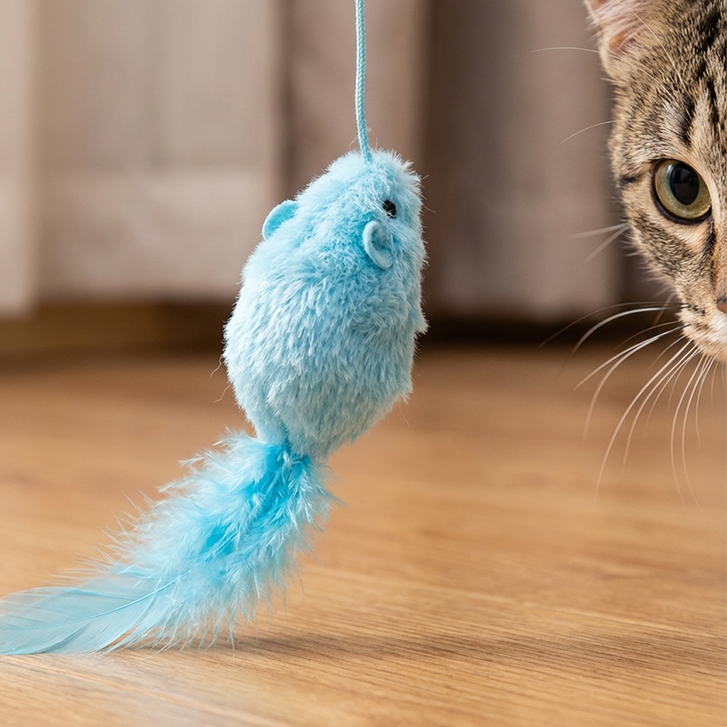 🐱🎮 Interaktives Katzenspielzeug mit Fernbedienung – 50% RABATT! Bis zu 20m Reichweite, elastisches Seil, mehrere Spielmodi – Jagdspaß vom Sofa aus.