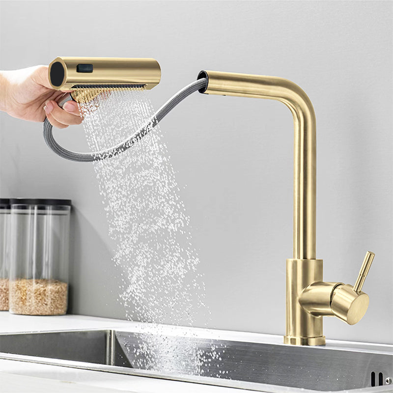 Küchenarmatur mit ausziehbarer Duschfunktion, die Ihr Küchenwasser bequemer und komfortabler macht!