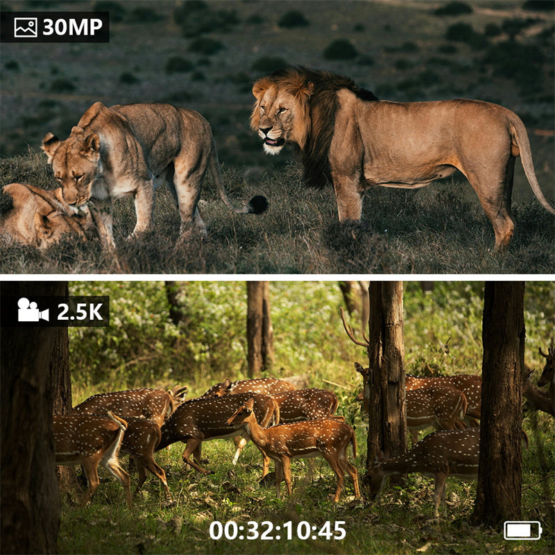 Digitale Nachtsicht-Fernglas mit HD-Foto- und Videoaufnahme