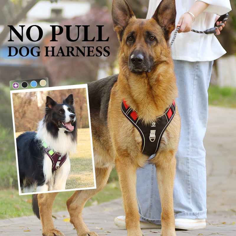 🐾50% Rabatt!🦮Zugstopp‑Hundegeschirr mit Front‑D‑Ring, komplett mit Leine & LED‑Halsband für sichere Spaziergänge 🔦