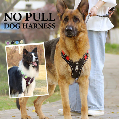 🐾50% Rabatt!🦮Zugstopp‑Hundegeschirr mit Front‑D‑Ring, komplett mit Leine & LED‑Halsband für sichere Spaziergänge 🔦
