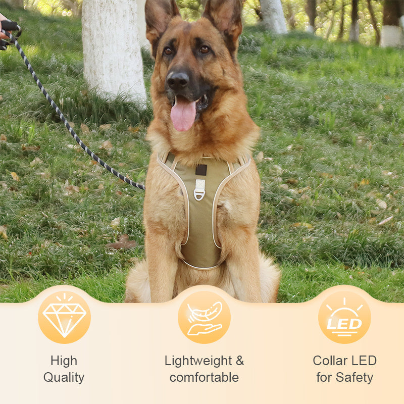 🐾50% Rabatt!🦮Zugstopp‑Hundegeschirr mit Front‑D‑Ring, komplett mit Leine & LED‑Halsband für sichere Spaziergänge 🔦