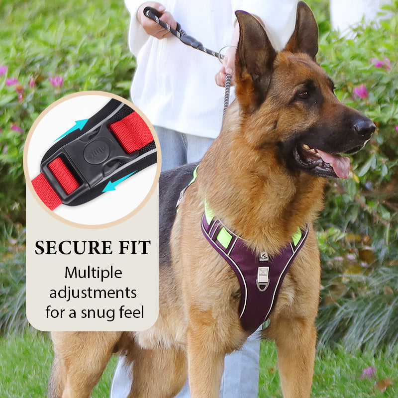 🐾50% Rabatt!🦮Zugstopp‑Hundegeschirr mit Front‑D‑Ring, komplett mit Leine & LED‑Halsband für sichere Spaziergänge 🔦