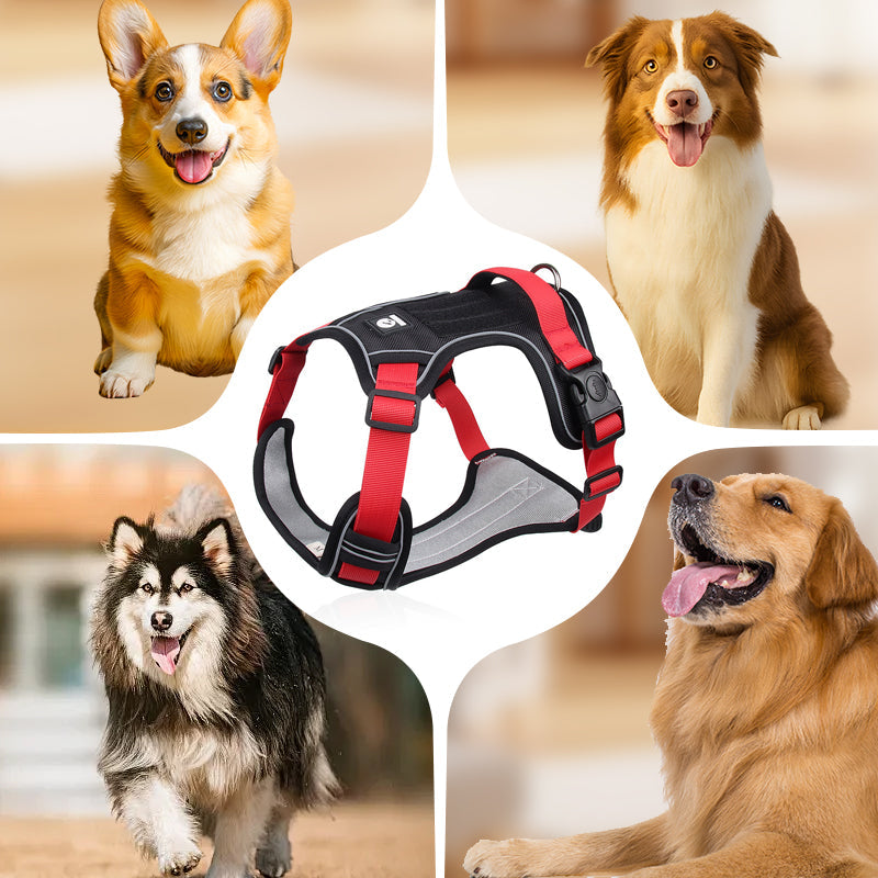 🐾50% Rabatt!🦮Zugstopp‑Hundegeschirr mit Front‑D‑Ring, komplett mit Leine & LED‑Halsband für sichere Spaziergänge 🔦