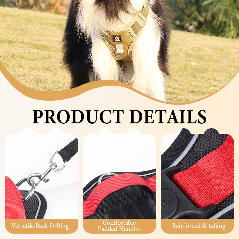 🐾50% Rabatt!🦮Zugstopp‑Hundegeschirr mit Front‑D‑Ring, komplett mit Leine & LED‑Halsband für sichere Spaziergänge 🔦