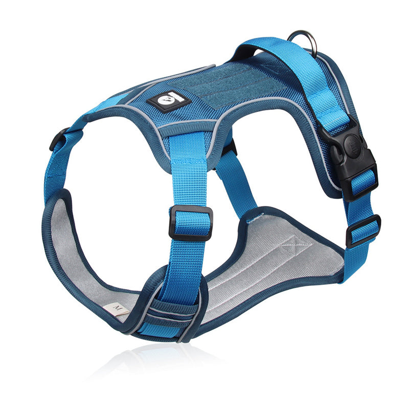 🐾50% Rabatt!🦮Zugstopp‑Hundegeschirr mit Front‑D‑Ring, komplett mit Leine & LED‑Halsband für sichere Spaziergänge 🔦