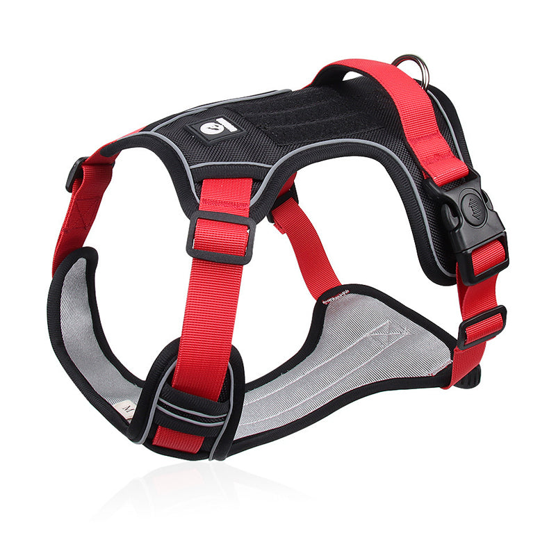 🐾50% Rabatt!🦮Zugstopp‑Hundegeschirr mit Front‑D‑Ring, komplett mit Leine & LED‑Halsband für sichere Spaziergänge 🔦