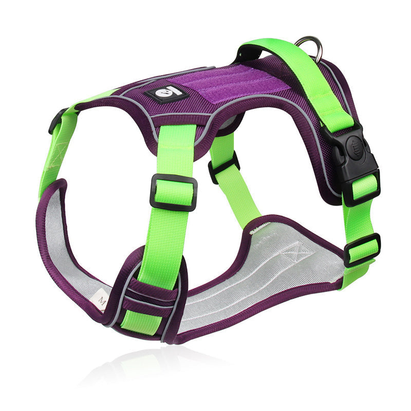 🐾50% Rabatt!🦮Zugstopp‑Hundegeschirr mit Front‑D‑Ring, komplett mit Leine & LED‑Halsband für sichere Spaziergänge 🔦