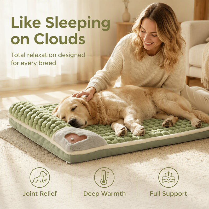 🐾 50% RABATT! 🛏️ Gepolsterte, waschbare Hundematte – Weich, warm & vielseitig – Ideal für Hunde & Katzen – für alle Jahreszeiten ✨