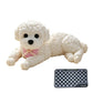 🧸 50% RABATT! 🐶 Quetsch-Teddyhund – Stressabbau, weich & süß ✨
